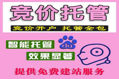 网络营销实战：案例分享竞价推广的秘诀